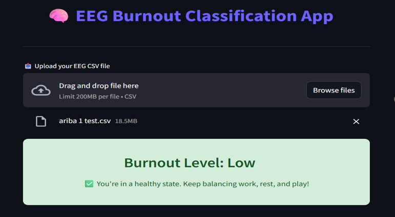 EEG Burnout Classification